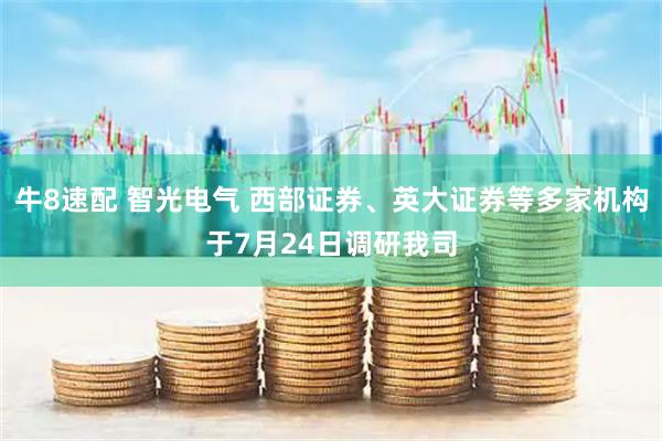 牛8速配 智光电气 西部证券、英大证券等多家机构于7月24日调研我司
