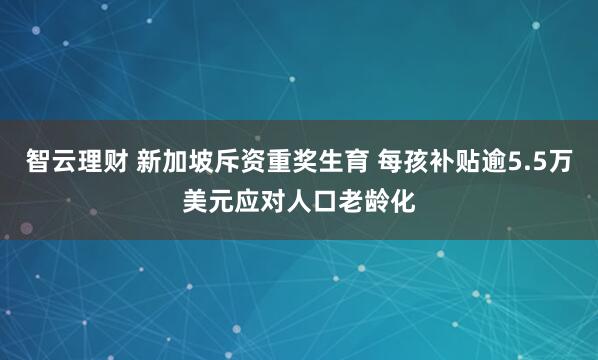 智云理财 新加坡斥资重奖生育 每孩补贴逾5.5万美元应对人口老龄化
